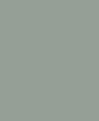 Light Grey Hadrian Screen Color