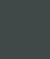Charcoal Hadrian Screen Color