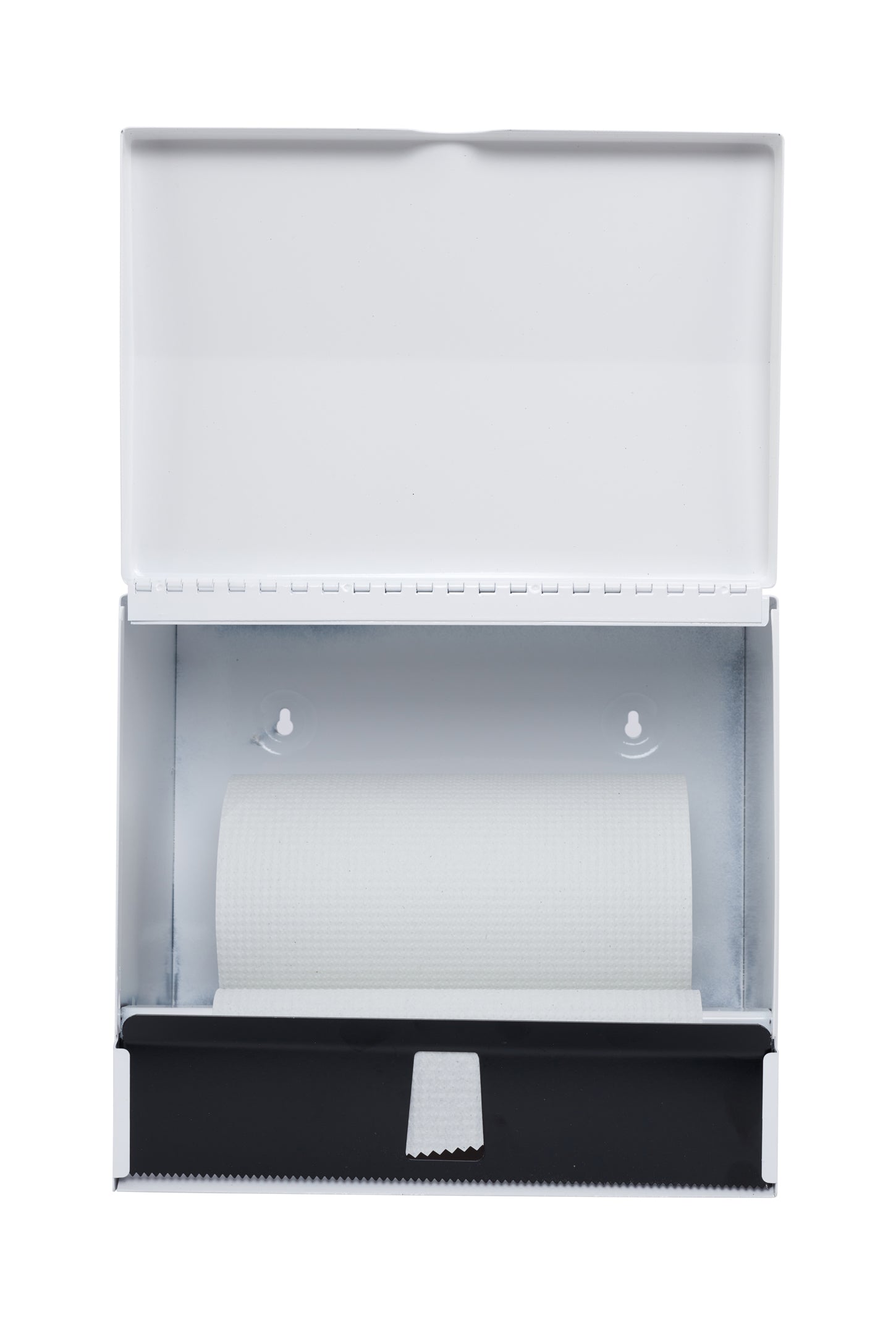 Paper towel dispenser Frost white open